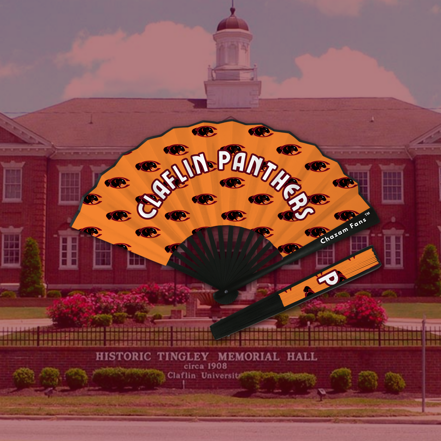 CLAFLIN View A&M
