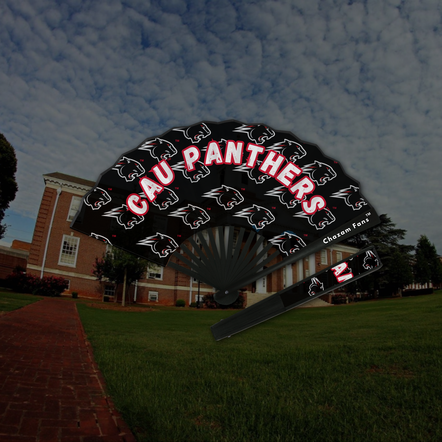 CAU PANTHERS_ CHAZAM FAN