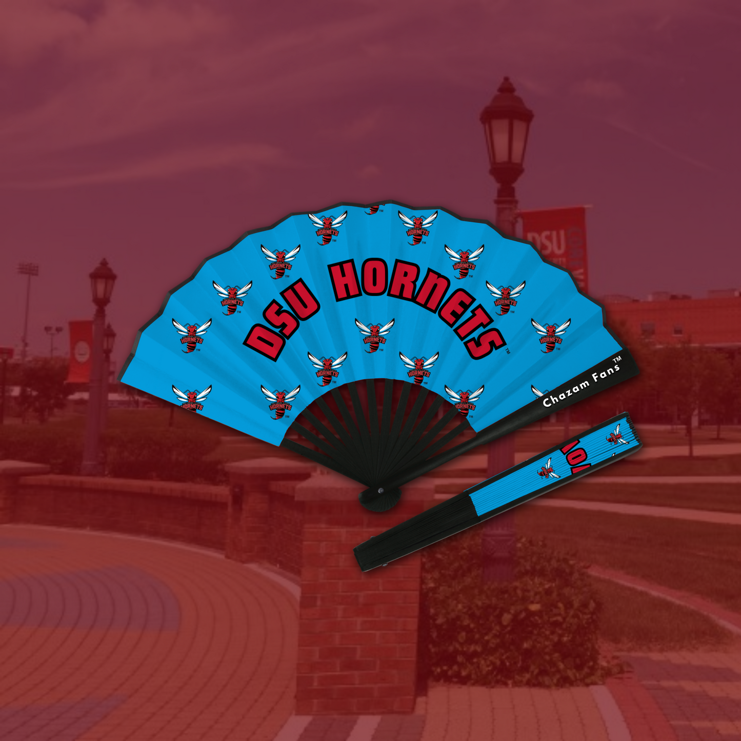 DSU Hornets