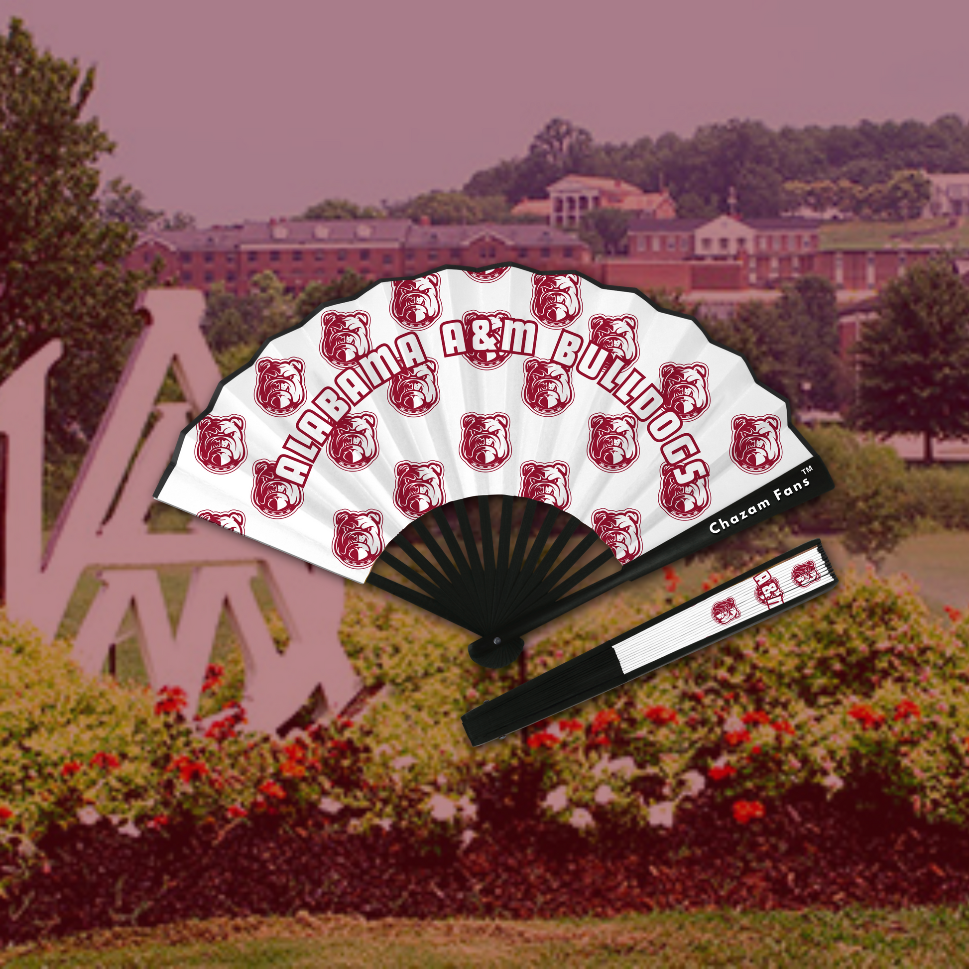 Alabama A&M