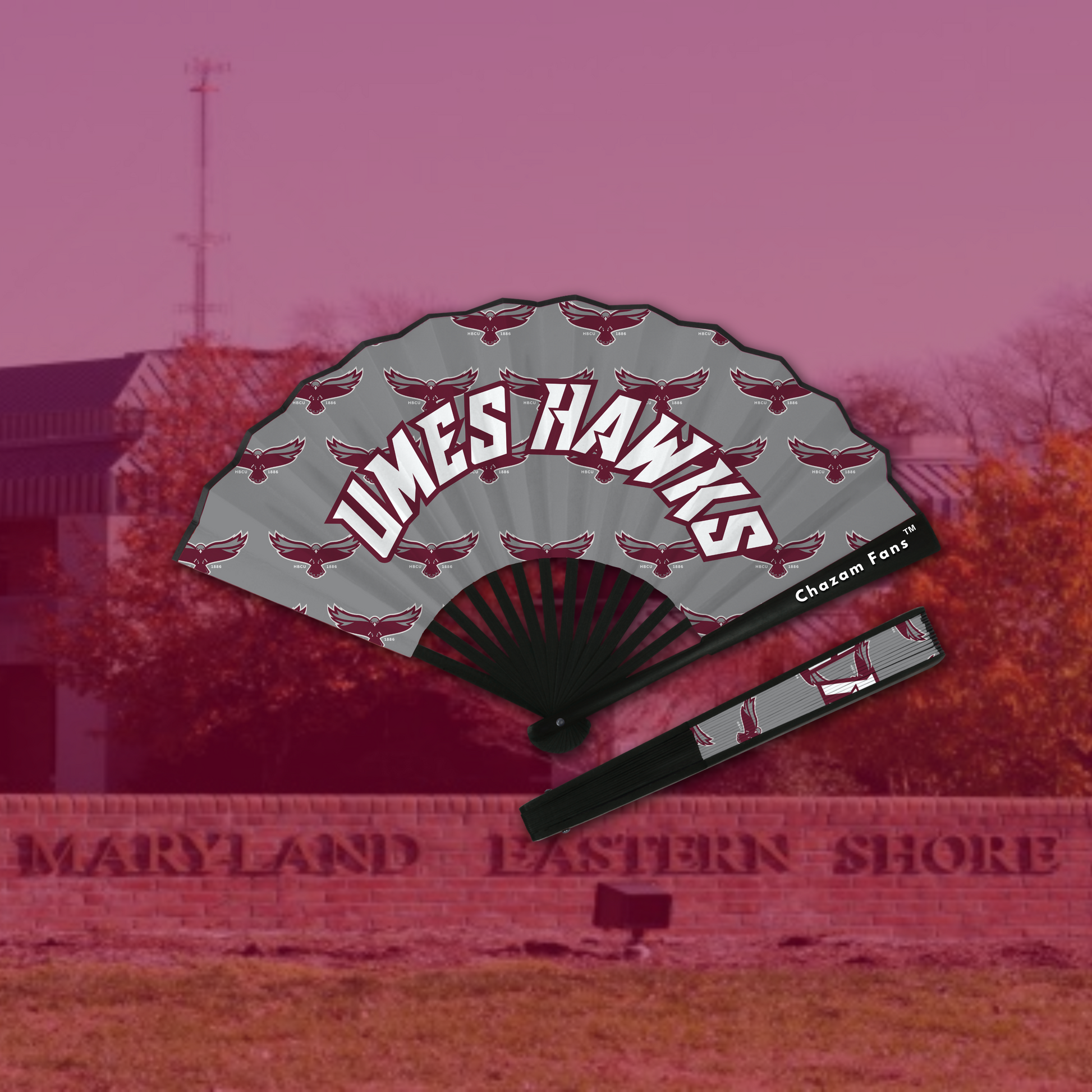 UMES HAWKS